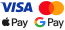Kartično plačilo (GoPay) / Apple Pay / Google Pay